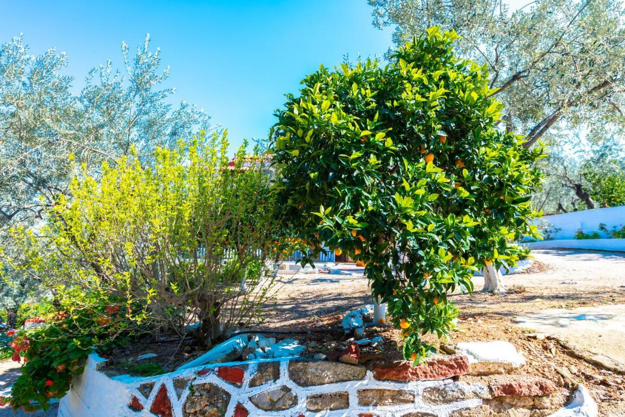 Maria Apartments Studios Epidavros Epidaurus Esterno foto